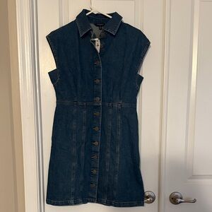 Denim Sleeveless Button-Down Dress